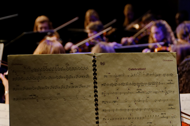 Contrabass part for Suite for Chamber Orchestra with Symphony of Arlington
