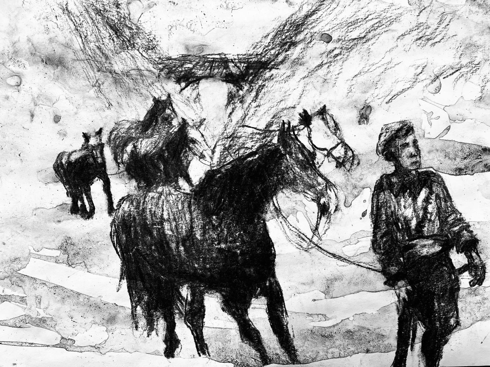 Plenty of Horses