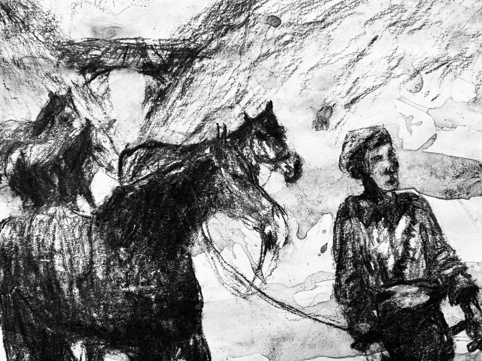 Plenty of Horses