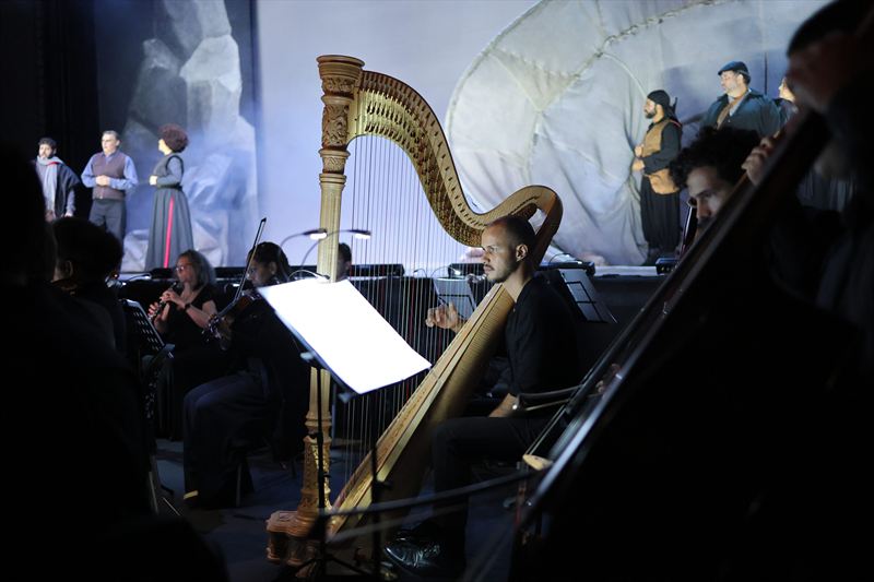 Raphael Aragão on Harp.  Photo by Robson Cesco.