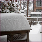 Holiday Snow - click for larger image